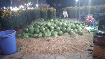 Chợ hoa tết 2020 canh tý tại cà mau _p1 NTN