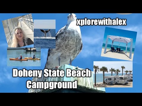 Video: Doheny State Beach Camping - Oceanfront Dana Pointissa, CA