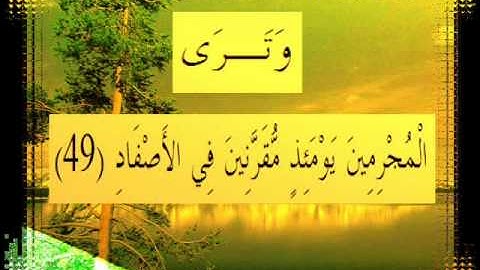 القرآن الكريم سورة إبراهيم الأية 49 قراءة السديس