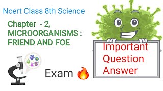 NCERT Class 8 Science Chapter 2 | Microorganisms friend and foe| Microorganisms class 8 revision
