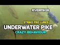 Underwater Pike - Strike Pro Lures (video 96)