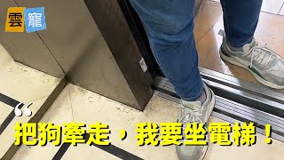 女子牽狗乘坐電梯，後進男子要求其避讓 by 雲寵 2,836 views 1 month ago 5 minutes, 37 seconds