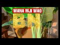 Brother Nassir - WASO HAYA | Wana Mji Wao | Wa Kuwakanya Nnani | Jamani Hao (Official Lyrics)