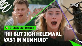 BOKTOR BIJT HARD EN LAAT NIET LOS!  | Steken en Prikken | Seizoen 4 #2 NPO Zapp