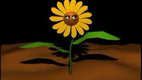 Singing Sun Flower 3D Animation