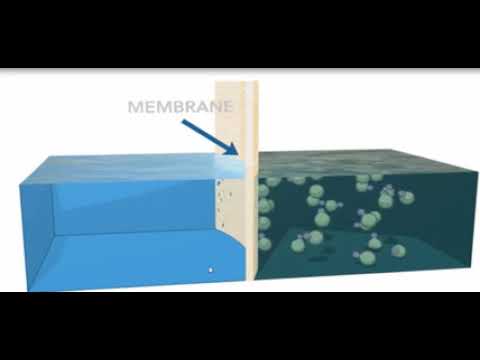فيديو: كيف يرتبط تدرج تركيز الماء بالضغط الاسموزي؟
