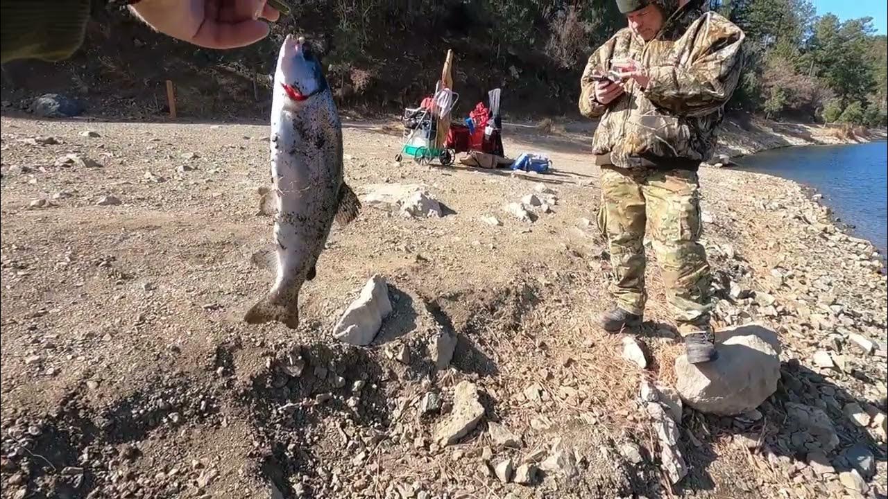 Rainbow Trout fishing at Alto Lake, Ruidoso NM YouTube