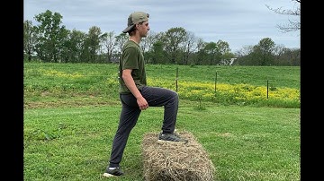 Step up to Split Squat Combo