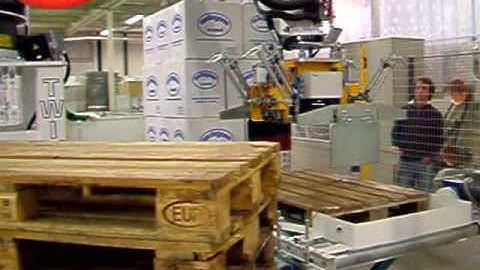 Palletizing Systems