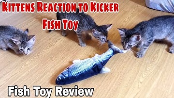 Moving Fish Kicker Cat Toy| Flippity Fish Cat Toy 2020! Does it works? | CatsLifePhils