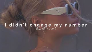 billie eilish - i didn't change my number (slowed + reverb)