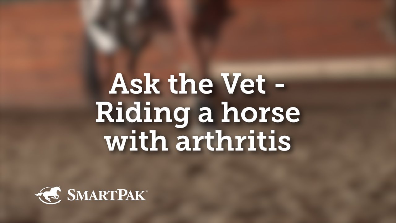 Ask The Vet - Riding A Horse With Arthritis
