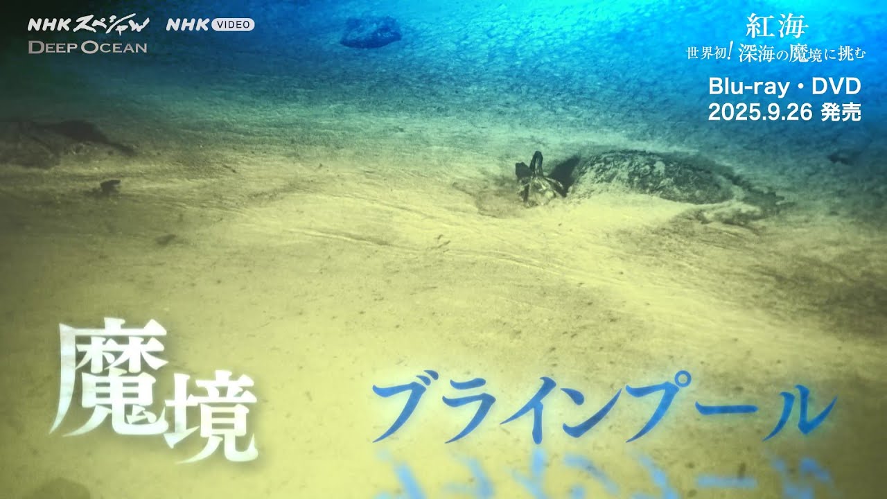 連続テレビ小説 わろてんか 完全版 PR動画 - YouTube
