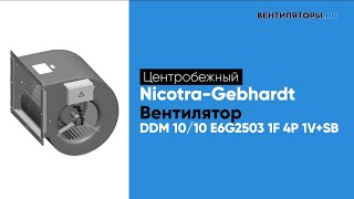 Обзор Вентилятора Ddm 1010 E6G2503 1F 4P 1Vsb Nicotra Gebhardt Вентиляторы