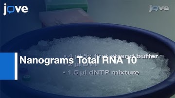 Single Read & Paired-End mRNA-Seq Illumina Libraries-Preview