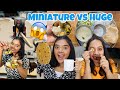 We only ate Miniature vs Huge food for 24 Hours