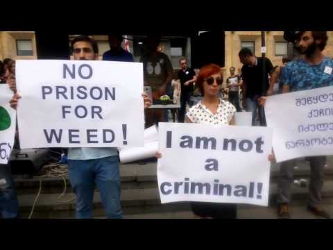 აქცია მარიხუანას დეკრიმინალიზაციის მოთხოვნით - 2.06.2015