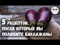 5 РЕЦЕПТОВ, после которых вы полюбите БАКЛАЖАНЫ  Eggplants