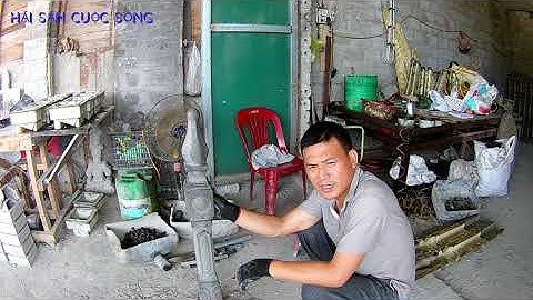 hàng rào bê tông,cách tháo khuổn mẫu tài phú nổi,của kênh hải sản cuộc sống.