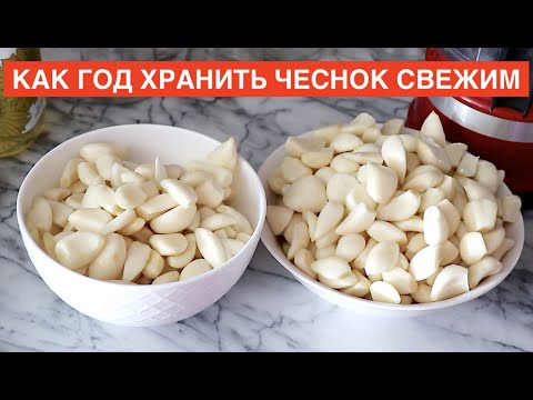 🧄🧄🧄 КАК ХРАНИТЬ много чеснока год - Сохранить чеснок свежим - Лайфхак Оригинальный и простой меетод