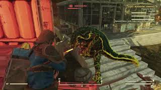 Moonshine Jamboree Mutants Cleaning - FALLOUT 76 (2)