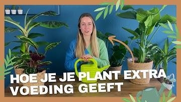 Plantenvoeding - Geef jouw plant dat beetje extra energie!