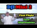 DJI Mini 2 - First Flight | 4K Footage | First Impressions