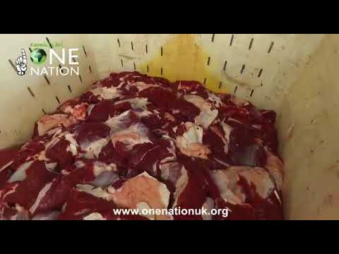 Qurbani in Gaza - September 2017