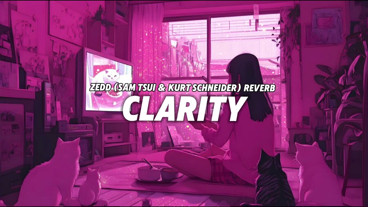 Clarity - Zedd (Sam Tsui & Kurt Schneider) reverb