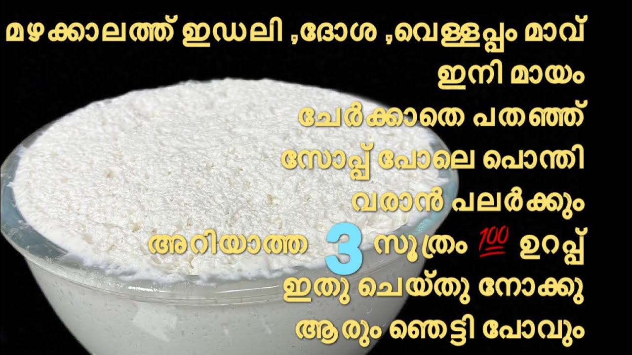 Idli Dosa palappam Batter Fermenting Tips Malayalam/ How to make ...