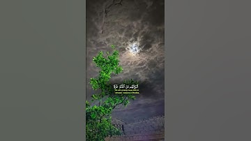 #كل_نفس_ذائقةالموت #قران_كريم #قرآن #تلاوة_جميلة #شيخ_ياسر_الدوسري #راحة_نفسية #قرآن #اكسبلور #fyp