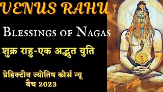 Venus Rahu -Blessings of Nagas (English/Hindi)शुक्र राहु एक अद्भुत युति /Predictive Astrology Course