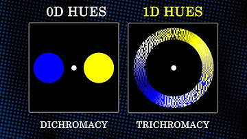 A Functional Trichromacy for the Colorblind