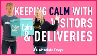 How to keep your dog calm when the door knocks