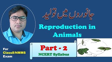 8th-Science جانوروں میں تولید Reproduction in Animals - Part-2 @Sajidinamdarelearninghub