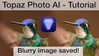 Photo AI 2 REVIEW  Did Topaz catch up? Comparison to DXO PureRaw3