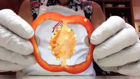 Bell Pepper Model of Universe