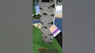 Speedrunning A Random BIOME In Minecraft! (#1) #shorts