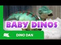 Dino Dan | Best of - Dino Babies