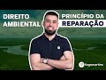 Direito Ambiental - Princípio da Reparação (Resumo)