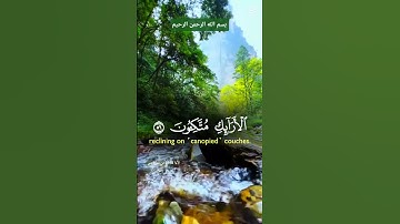 #آيات بينات من الذكر الحكيم #ما_تيسر_من_سورة_يس#بصوت_الشيخ_فارس_عباد #اكسبلور