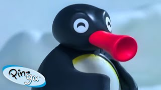 Pingu the problem solver! 🐧 | Pingu - Official Channel | Cartoons For Kids