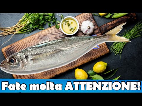 Video: Come Cucinare La Zuppa Di Pesce Sauro