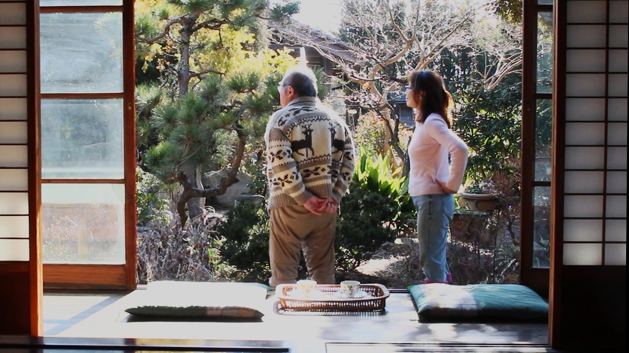 Я люблю сад и кухню. Начинается весенняя работа в саду.