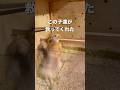 カメムシ1,000匹と同棲。