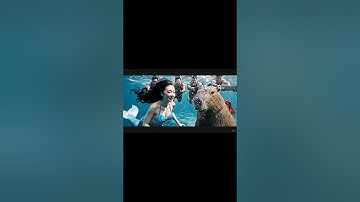 Capybara cứu nàng tiên cá trên tàu. #trending #animals #capybara #memes #short #funnyvideo #funny