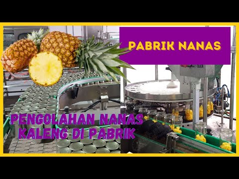 Video: Cara Membuat Makanan Nanas Dalam Tin