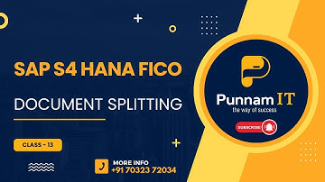 SAP S4 HANA FICO Document splitting CLASS 13