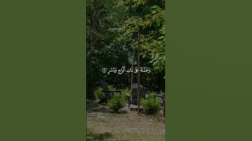 فَدَعَا رَبَّهُ أَنِّي مَغْلُوبٌ فَانتَصِرْ | تلاوة مؤثرة📖 #اكسبلور #القرآن_الكريم