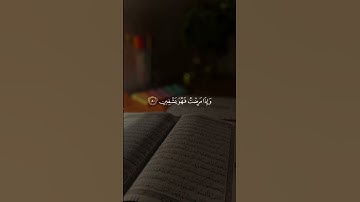 #سورة_الشعراء #ياسر_الدوسري #قرآن #quran #quran_alkarim #تلاوة_خاشعة #اكسبلور